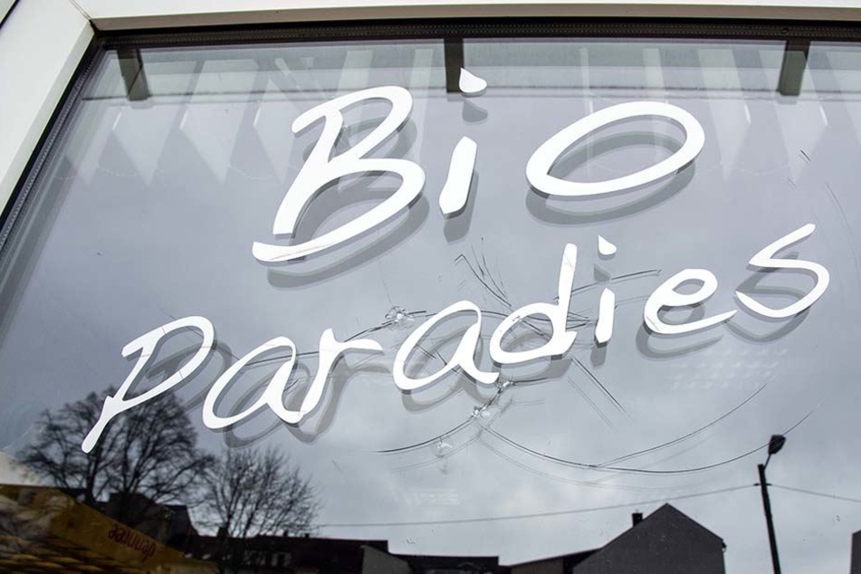 Im Bio-Paradies machten sich jugendliche Einbrecher auf die Suche nach Beute.