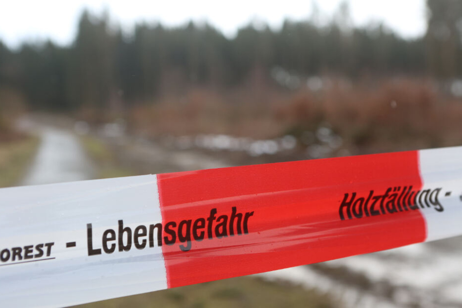Ein Jagdpächter fand den Mann nahe eines Waldwegs (Symbolfoto).