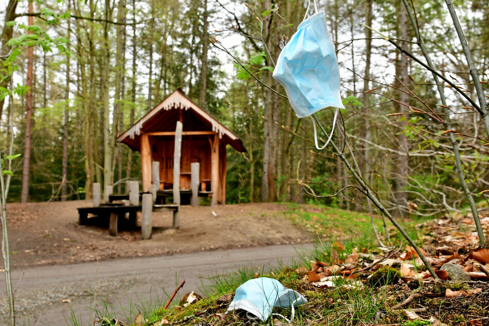 Masken-Müll findet sich in vielen Wäldern, auch in der Dresdner Heide.