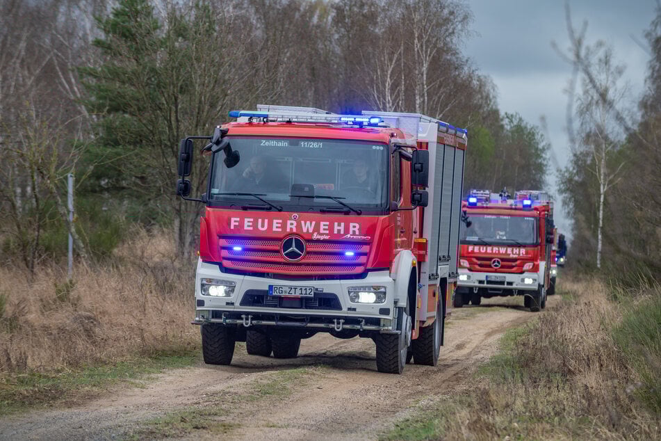 Die Freiwillige Feuerwehr Zeithain fährt zu einem Einsatz in die Gohrischheide. Flammen richten hier immer wieder schwere Verwüstungen an.