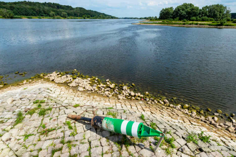 Bereits Mitte Juli machte sich das Niedrigwasser elbaufwärts bemerkbar: Bei Barförde ist der Pegel deutlich gesunken.
