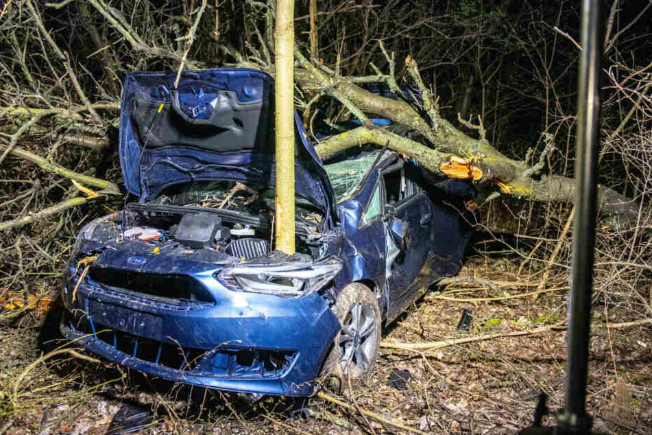 Ein Baum war auf das Dach des Auto gefallen, ein anderer steckte im Motorraum.