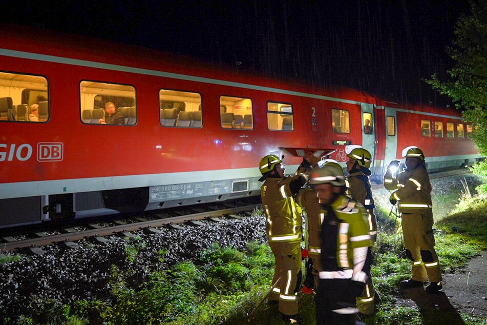 Zug rammt umgestürzten Baum: Lokführer erleidet Schock