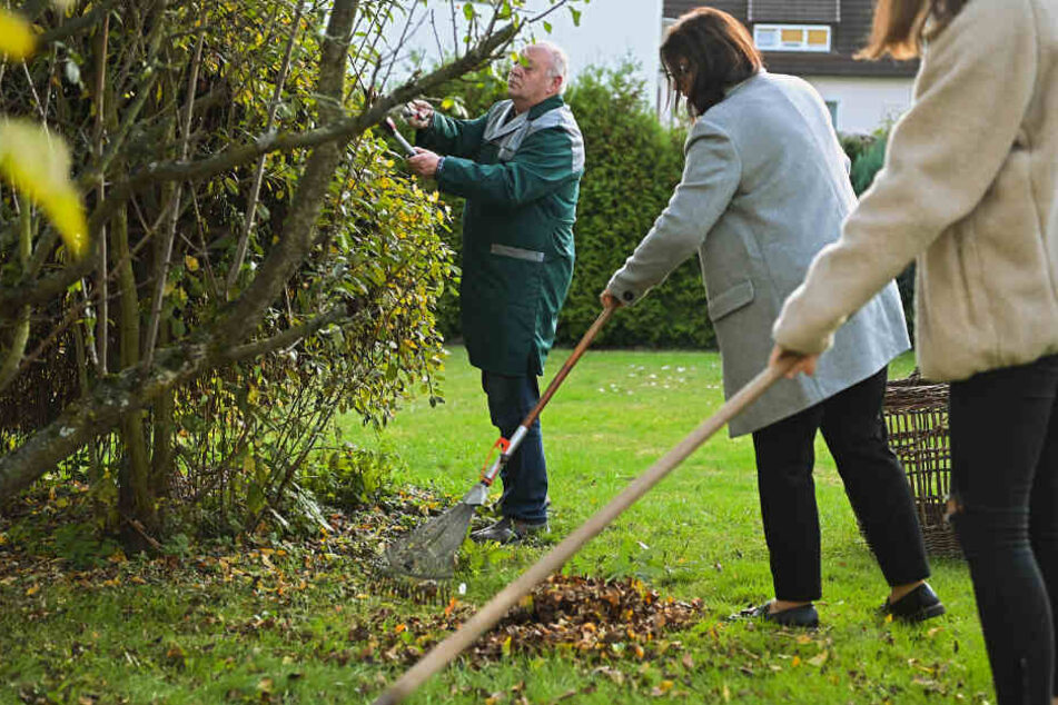 Gerd Bechler hilft zusammen mit seiner Tochter Ramona (M) und Enkelin Hanna (r) bei der Gartenarbeit einer 85-Jährigen.