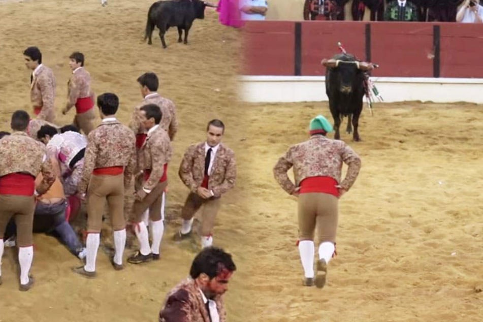 Das Video zeigt dramatische Szenen des Stierkampfes in Portugal.