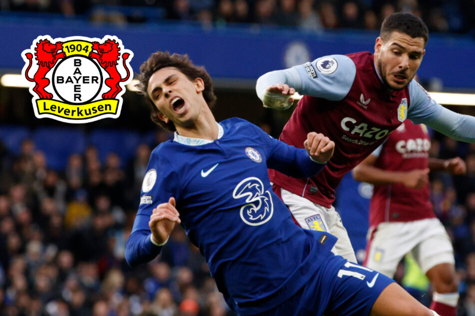 Terrier-Ersatz gefunden: Bayer Leverkusen holt Premier-League-Star