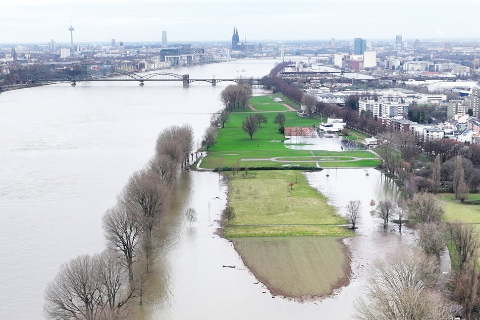 Der Rhein könnte nach Angaben der StEB in der Nacht zu Samstag einen Pegel von bis zu 8,20 Meter erreichen.