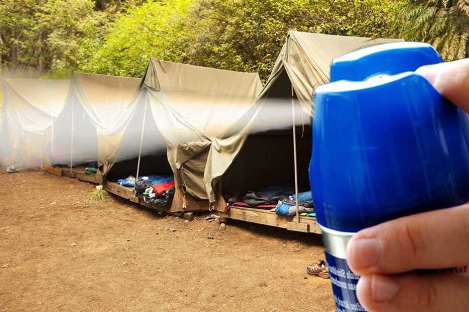 Mückenspray wurde mehreren Mädchen eines Zeltlagers zum Verhängnis (Symbolbild)