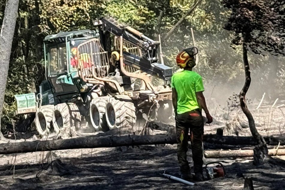 Nach über 20 Stunden haben die Einsatzkräfte der Feuerwehr den Waldbrand unter Kontrolle bringen können.