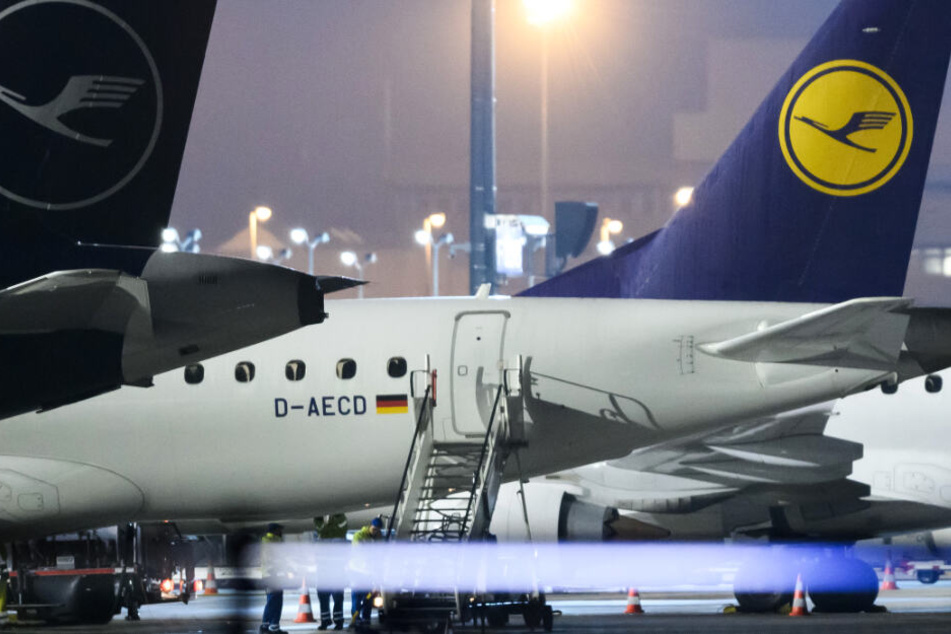 Bei einem Streik der Flugbegleiter könnten zahlreiche Lufthansa-Maschinen am Boden bleiben.