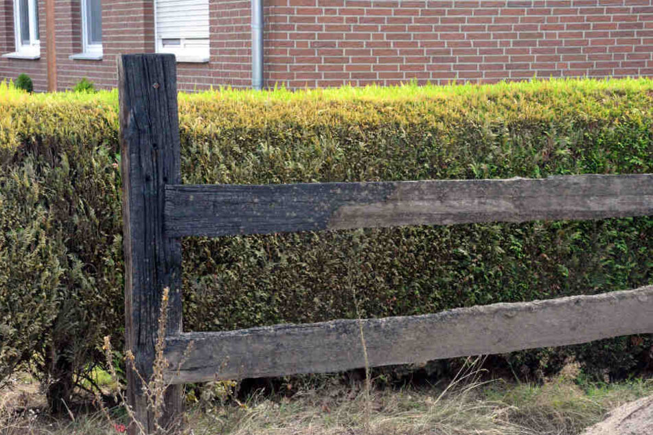Ein Zaun und die Hecke wurden ebenfalls zum Opfer der unbekannten Täter.