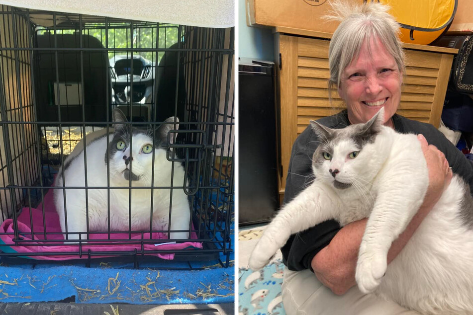 Patches got adopted by Kay Ford (r.), who is sure she can help him lose some weight.