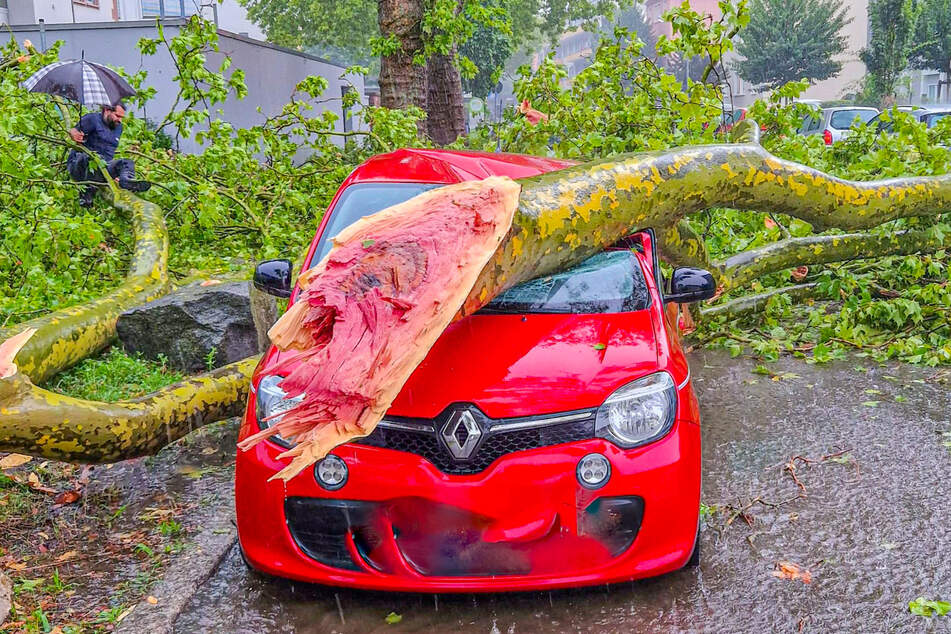 Autos wurden von eingeknickten Bäumen erfasst und beschädigt.