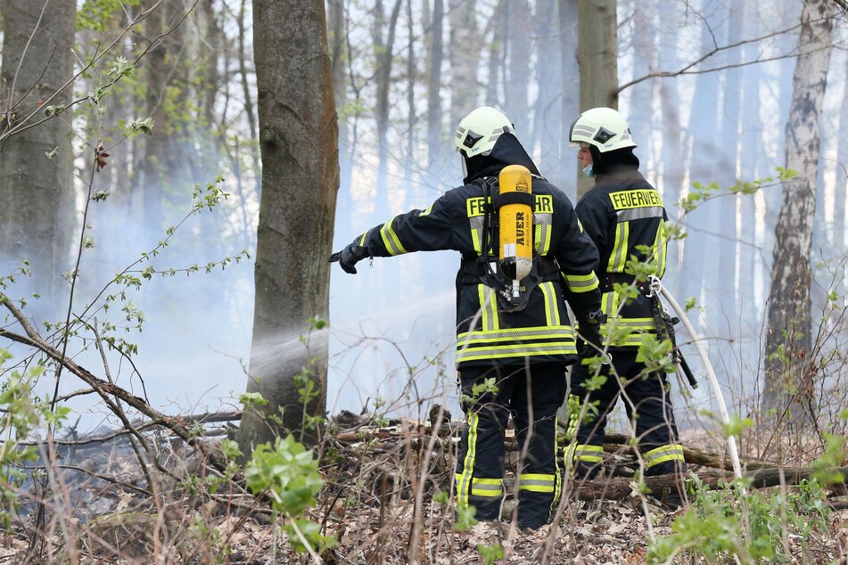 An der Talstraße in Meerane brannte am Dienstag ein etwa 500 Quadratmeter großes Waldstück. Das Feuer konnte schnell gelöscht werden.