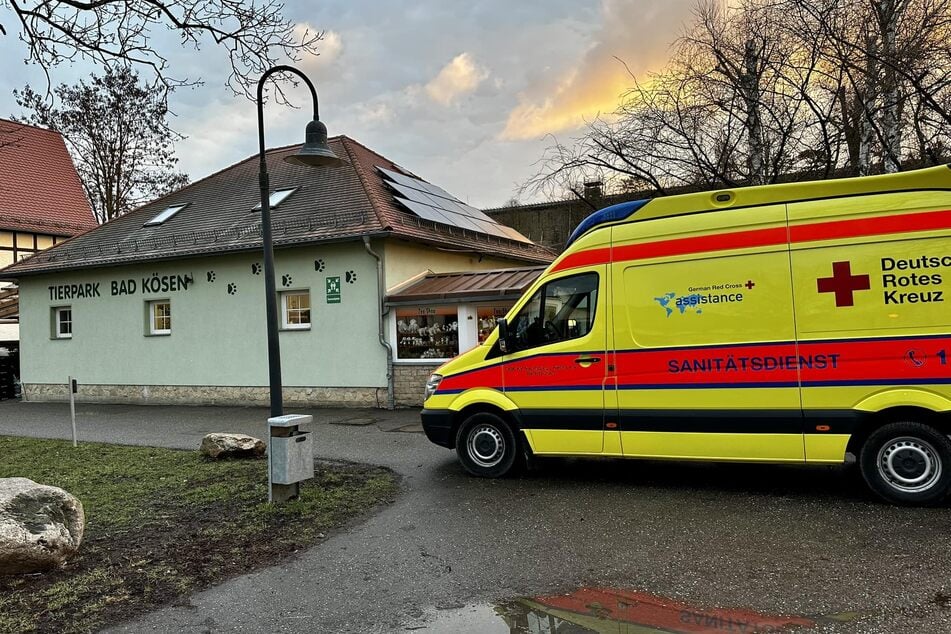 Nach verheerendem Vogelgrippe-Ausbruch im Tierpark Bad Kösen: Es gibt Hoffnung!