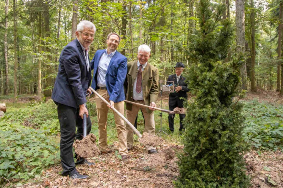 Bürgermeister Bernd Pohlers, Franz Freiherr von Feilitzsch und Matthias Laufer (v.l.) pflanzten eine Eibe im neuen Friedwald.
