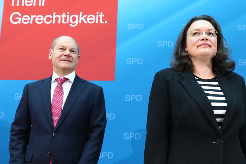 GroKo oder No-GroKo? SPD-Mitglieder haben jetzt die Wahl