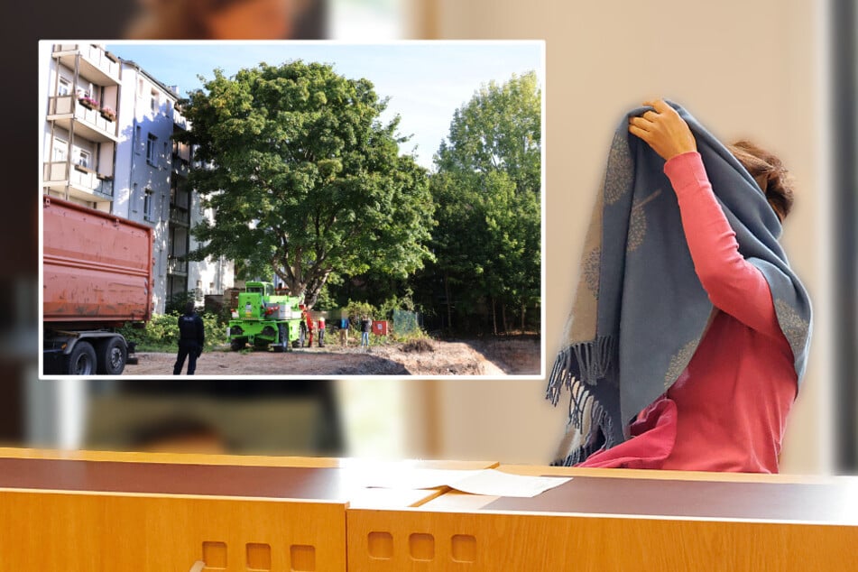 Drama um gefällten Ahorn hat Nachspiel vor Gericht: Aktivistin schlug und biss Polizisten