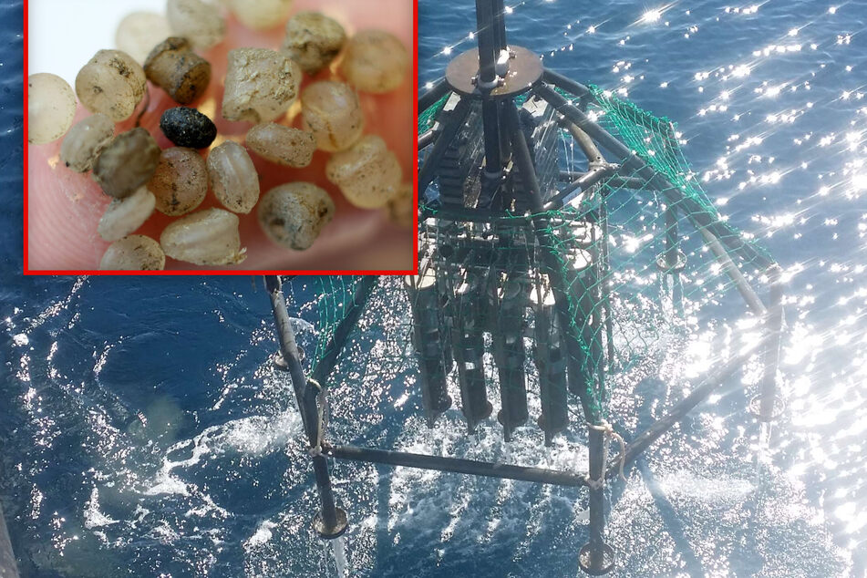 Fotomontage: In 8250 Metern Tiefe haben Forscher im Pazifischen Ozean massenhaft Mikroplastik entdeckt.