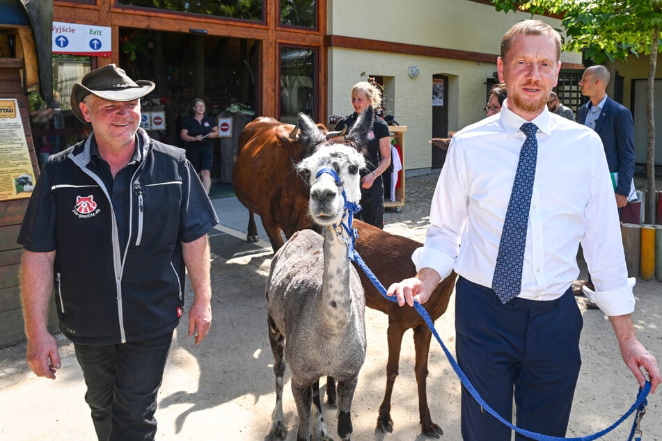 Zum Dank für den dicken Scheck durfte MP Michael Kretschmer ein Lama durch den Tierpark führen.