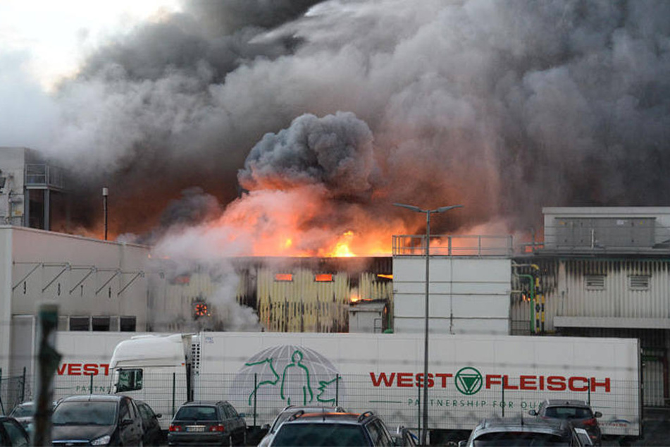 Am 8. Februar 2016 brach das Feuer bei Westfleisch in Paderborn aus.