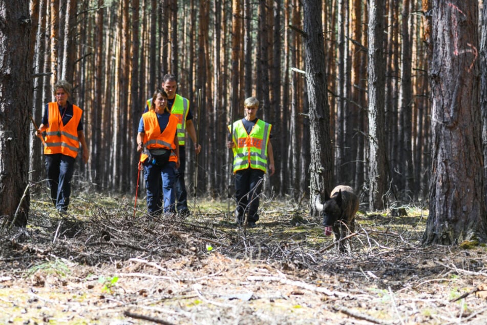 Polizisten suchen mit einem Spürhund in einem Waldgebiet nach Hinweisen zur vermissten Rebecca.