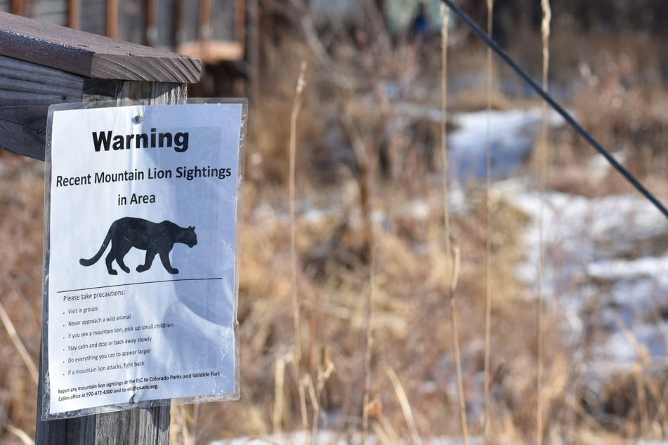 The deadly attack would mark Colorado's first such fatality in decades if confirmed.