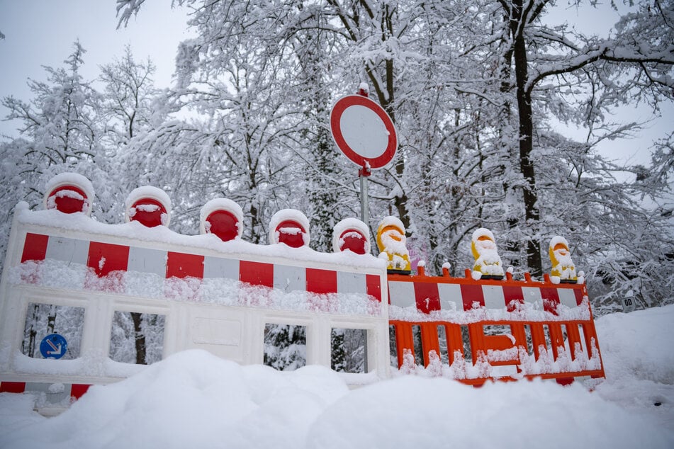 Durch Schneelast abgebrochen? Frau von Ast erschlagen