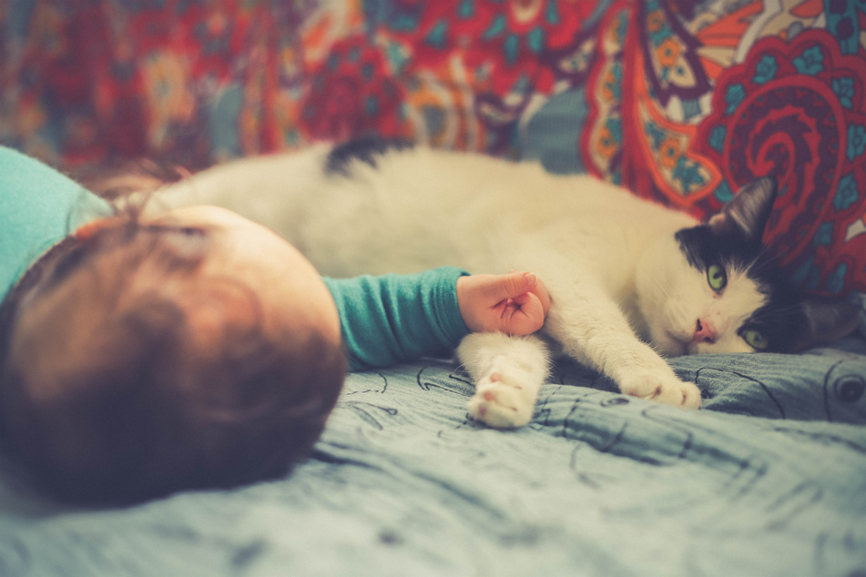 Try not to let your cat sleep on top of your baby, it can be dangerous.