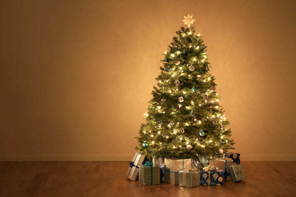 Zum Fest der Liebe gehört er einfach dazu: der Weihnachtsbaum.