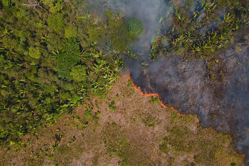 Fires in the Amazon could soon be dreaded megafires that devastate swathes of forest.