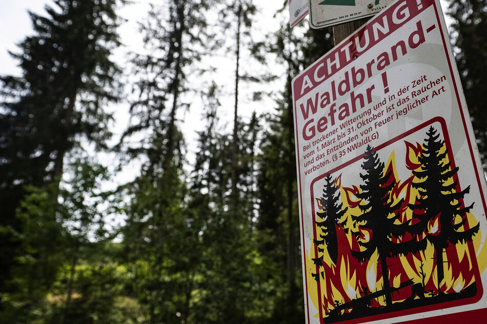 Vorsicht geboten: Waldbrandgefahr in Teilen Deutschlands auf höchster Stufe!