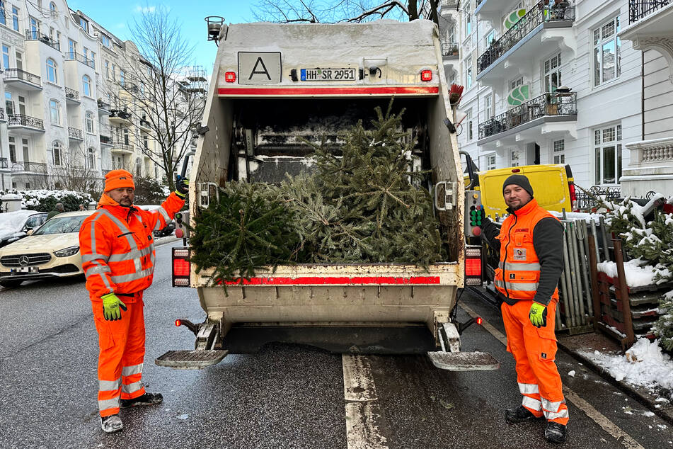 Guntur Vesuvius (l.) und sein Kollege Philipp Kark von der Sperrmüllabfuhr der Stadtreinigung Hamburg kümmern sich um die ausgedienten Weihnachtsbäume.