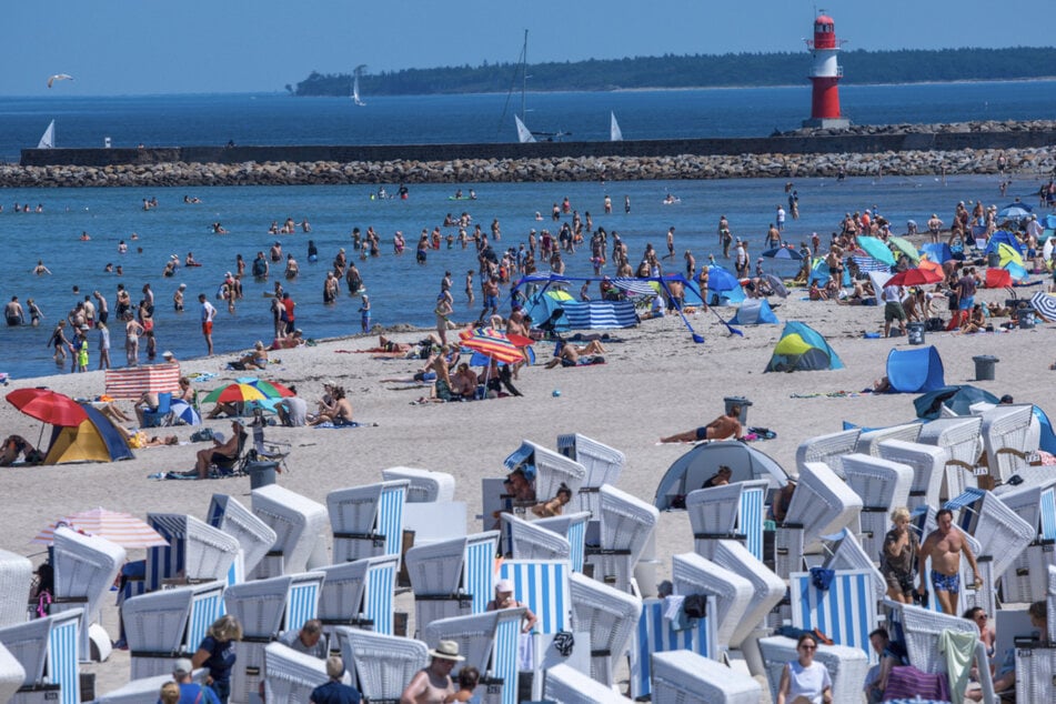 Blaualgen in der Ostsee! Hier sollte nicht gebadet werden