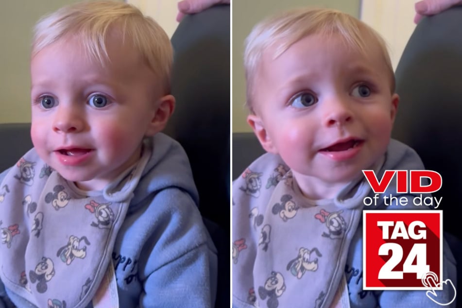 This little boy knew exactly what he wanted for dinner – and he wouldn't take no for an answer!