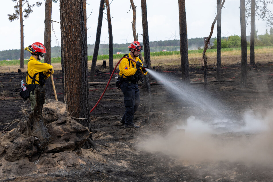 Warnstufe 4! Feuerwehr bekämpft mehrere Waldbrände in Stendal