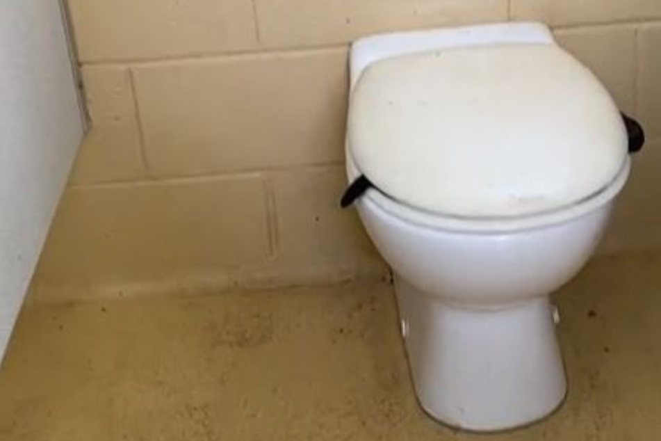 Frau macht Gruselfund auf öffentlicher Toilette: Was hängt da unter der Kloschüssel?