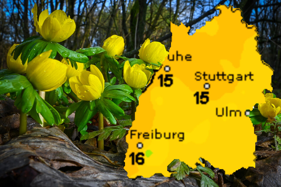 Das Wetter in Baden-Württemberg wird frühlingshaft.