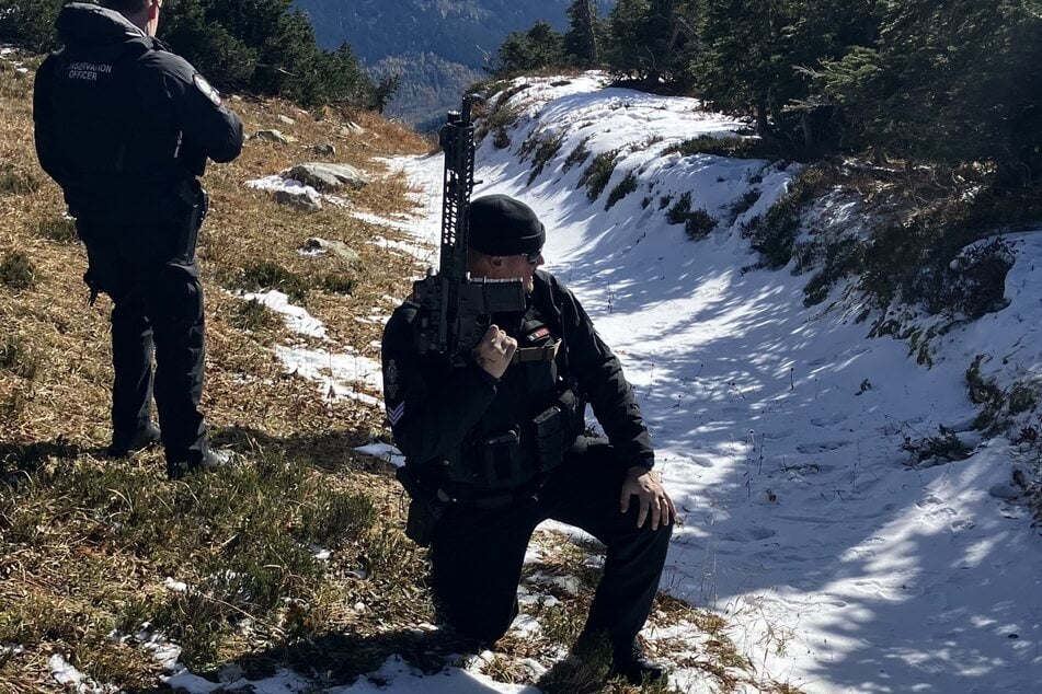 Das Predator Attack Team fand heraus, dass die Bärin nur ihre Jungen schützen wollte.