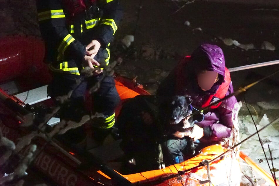 Hamburg: Dramatische Tierrettung: Hund bricht in See ein und flüchtet vor der Feuerwehr