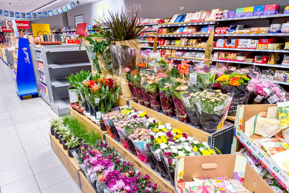 So schön günstig wird's ab Montag (5.10.) bei diska