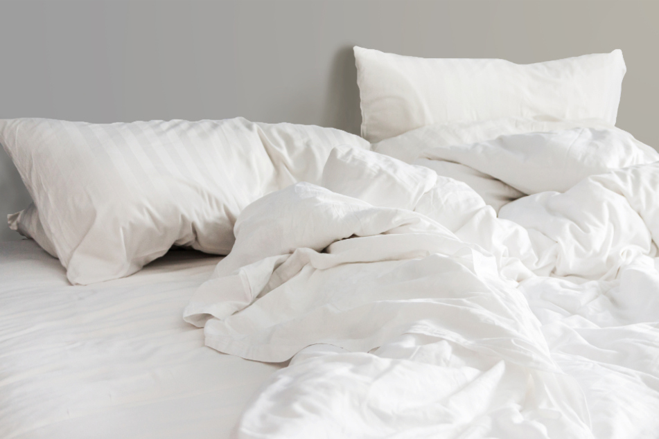Bettwanzen zu bekämpfen erfordert Ausdauer und Fachpersonal.