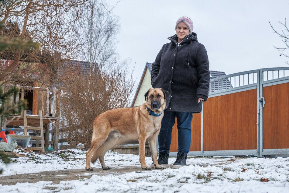 Bei Maria Göpfert (38) aus Königswartha hat Hund Keks (4) ein neues Zuhause gefunden.