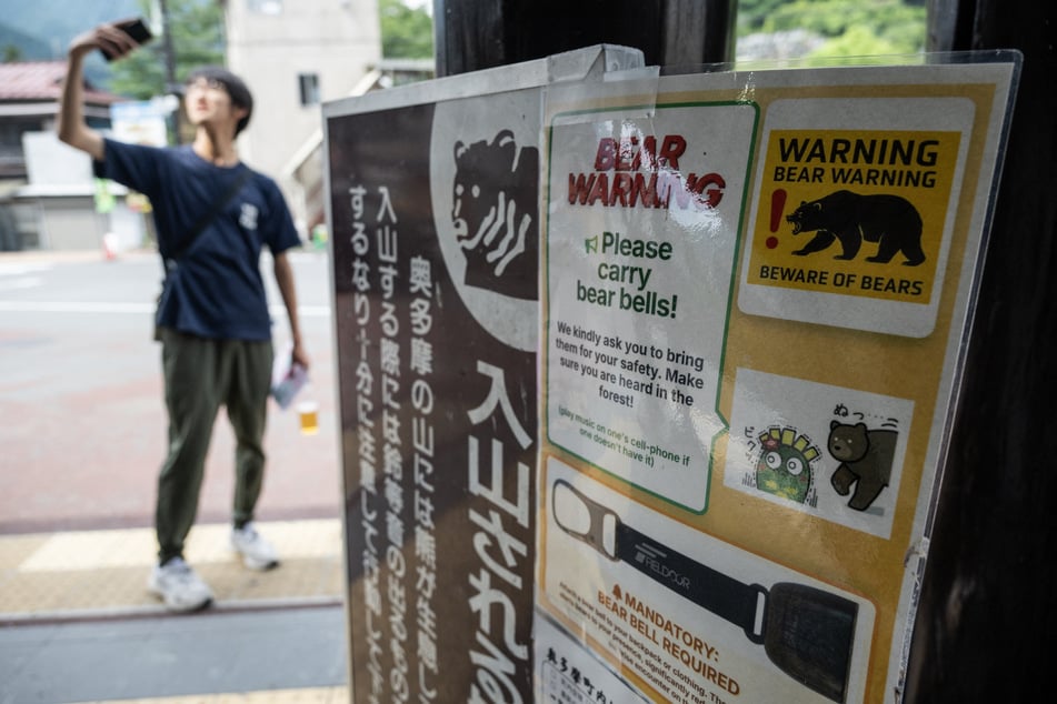 Suspected bear attack under investigation in Japan amid alarming streak of fatal incidents