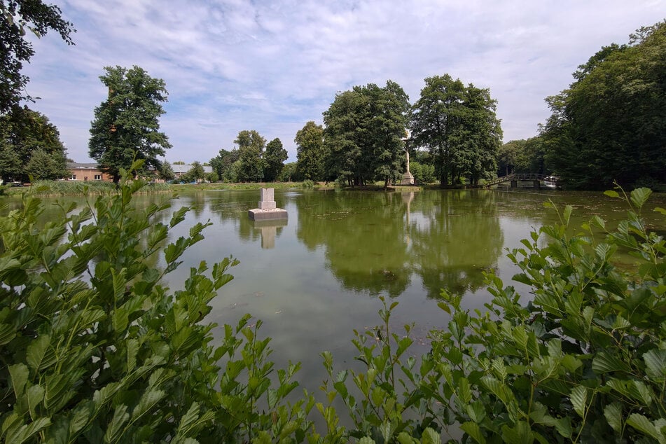 Erst am Donnerstag entdeckten Parkbesucher tote Wildenten im Gründelteich.