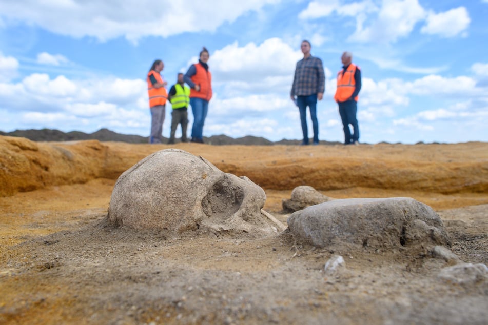 Bei Grabungen an einer Stromtrasse im Salzlandkreis machten die Archäologen die beeindruckende Entdeckung aus der Bronzezeit.