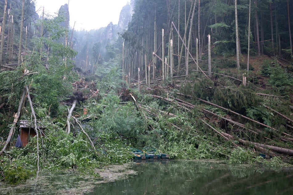 Zerstörung in der Sächsischen Schweiz: Wie entsteht ein solches Unwetter?