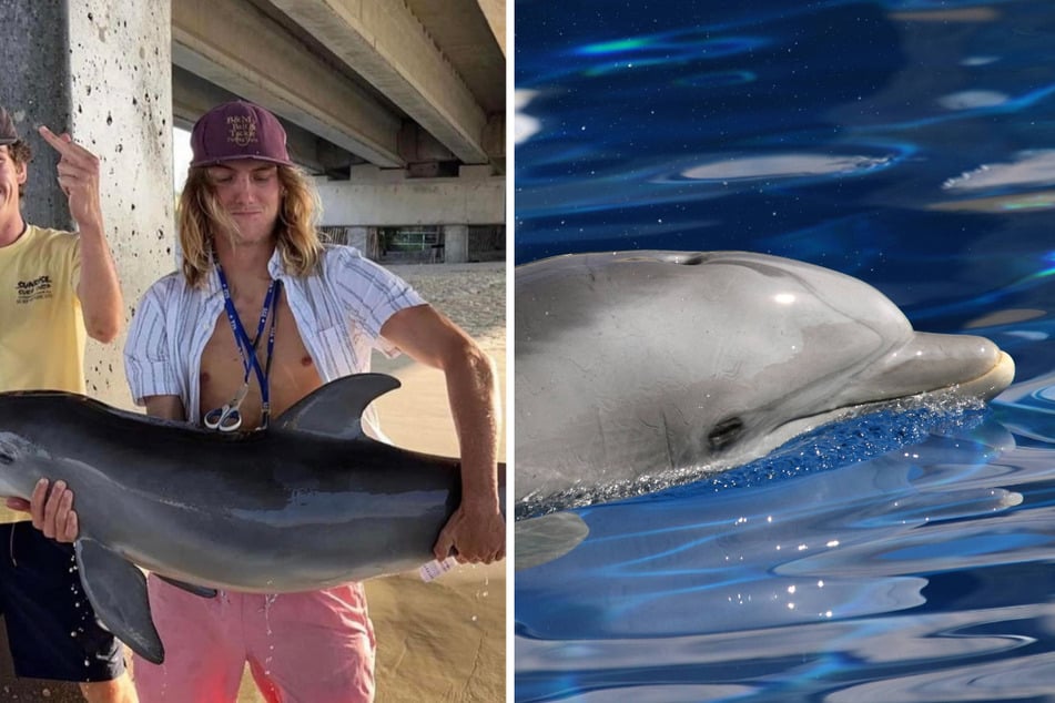 Two men in Florida are under fire after snapping an Instagram photo with a dolphin calf who is now believed to be dead.
