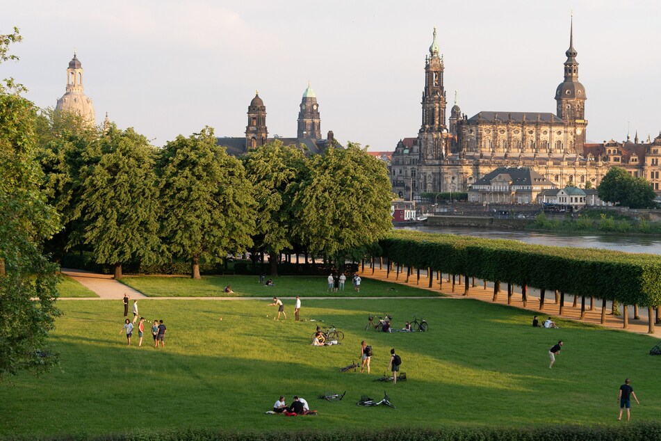 (Fast) alles im grünen Bereich: Der Sommer hält in Dresden Einzug, die Inzidenz sinkt.