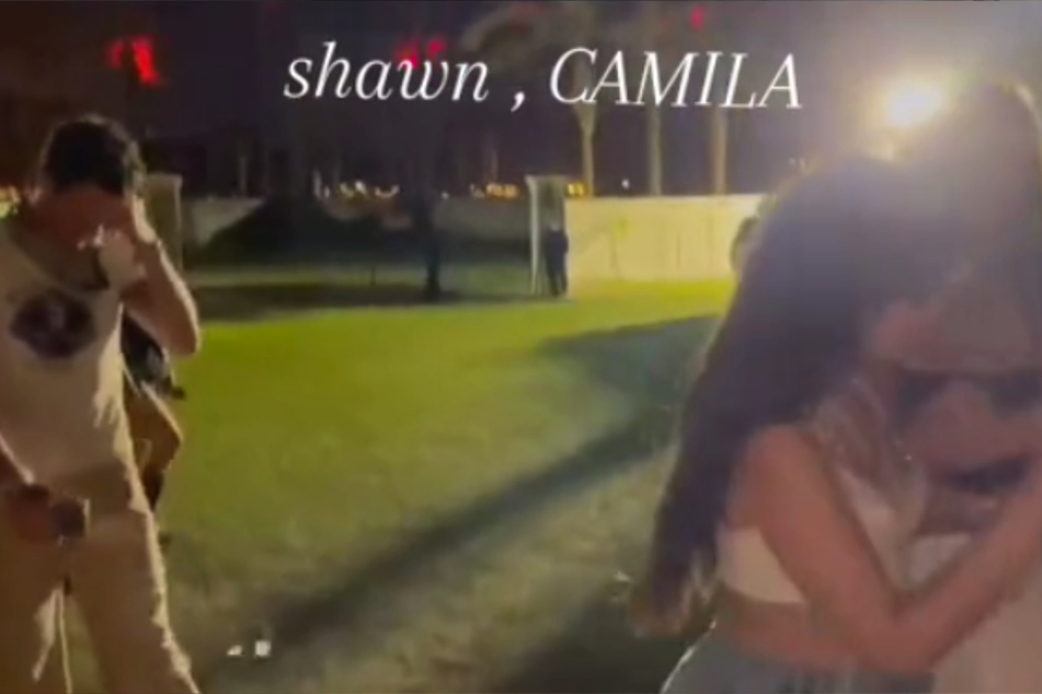 Shawn Mendes and Camila Cabello were spotted grinning ear-to-ear as they appeared to confirm their relationship status in a viral TikTok.